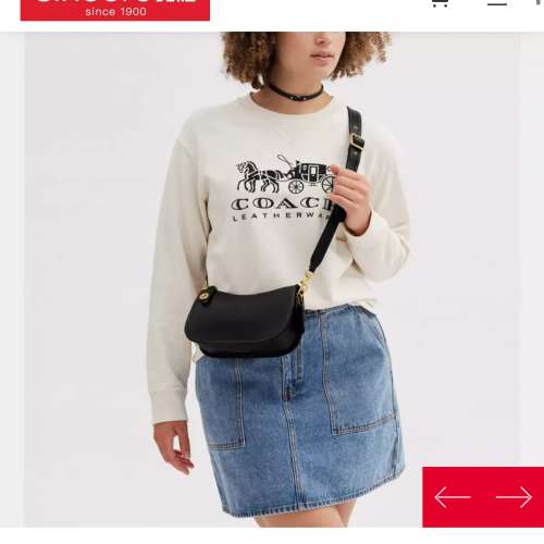 Coach 腋下包 2折出售