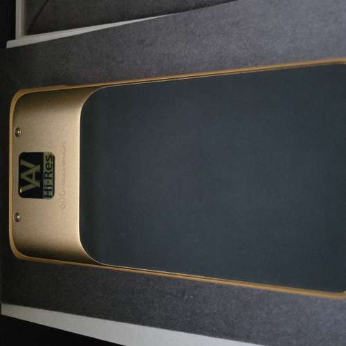 Sony MW-WM1ZM2(金磚2)