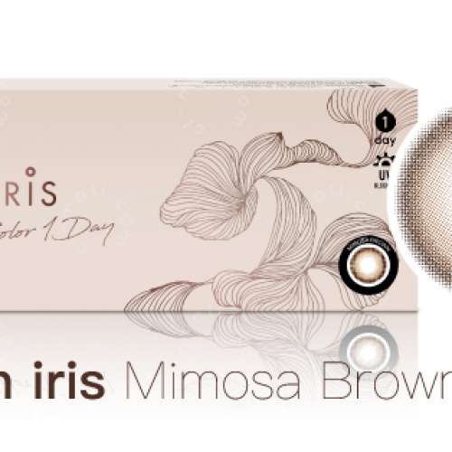 Clalen｜IRIS Mimosa Brown海外限定 (日拋) 隱形眼鏡550度10 片