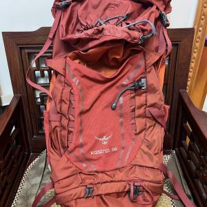 Osprey kestrel 38