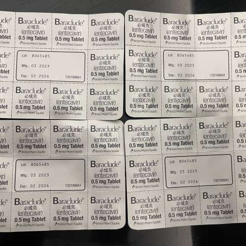 Baraclude 必域克 (entecavir) 0.5mg tablet x 40