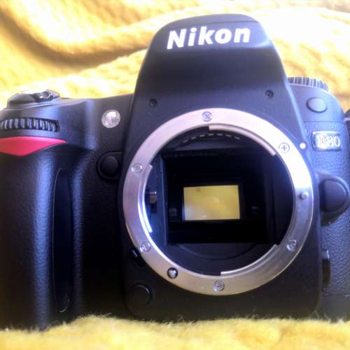 Nikon D80 CCD DSLR Camera with Nikon AF-S DX Zoom-Nikkor 18-135mm f/3.5-5.6G IF-