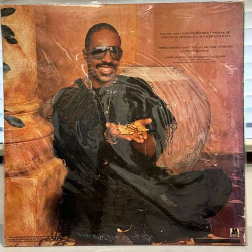 Stevie Wonder In Squared Circle