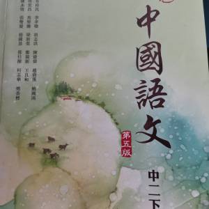 啟思中國語文中二下