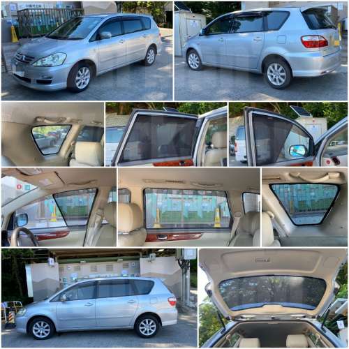 Toyota Picnic Ipsum 全車磁石濾光窗網太陽擋