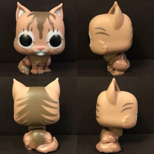 (12) FUNKO POP! Pets ~ Maine Coon (Vinyl Figure)
