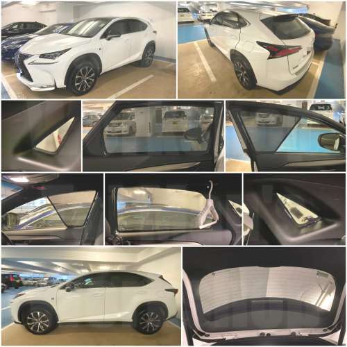Lexus NX200T NX300H NX250 全車磁石濾光窗網太陽擋