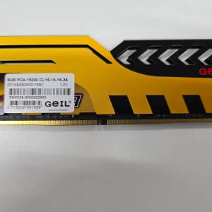 GEIL PC4-19200 8GB RAM