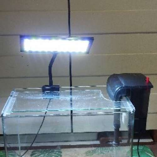 小型玻璃圓角魚缸連LED燈及缸外濾水器