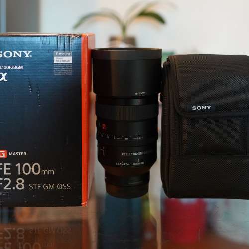 Sony SEL100F28GM