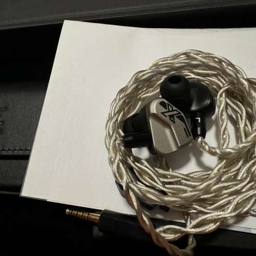 Vision Ears VE10