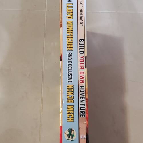 內含74pcs Lego的書 樂高旋風忍者 Ninjagq build your own adventure親子書