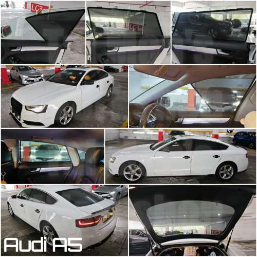 Audi A5 全車磁石濾光窗網太陽擋