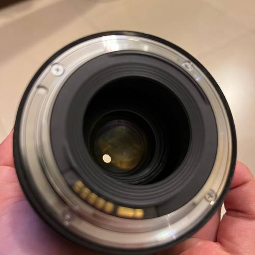 Canon EF 16-35 mm f4 f/4 L IS USM 鏡