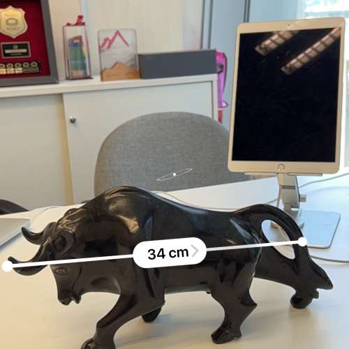 旺市 風水陣 橫財 炒股必備 華爾街 牛 風水 擺設 3kg 有份量 牛氣沖天 牛市 風水招財