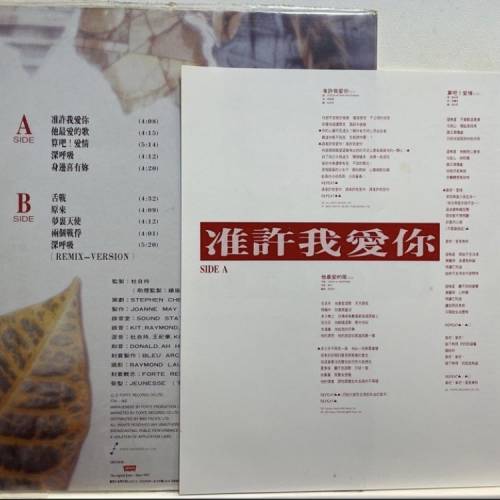 Echo 准許你愛我 黑膠碟