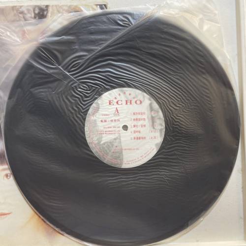 Echo 准許你愛我 黑膠碟
