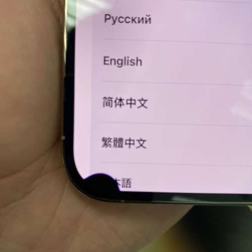 (mon 有黑點) iPhone 14 Pro 256gb gold 港版