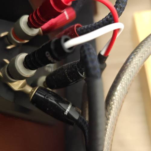 CHORD epic 喇叭綫