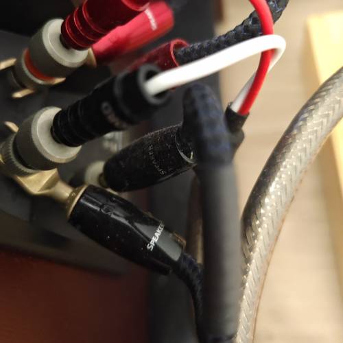 CHORD epic 喇叭綫