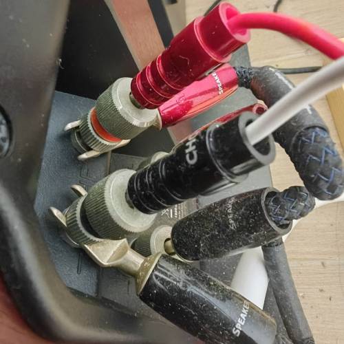 CHORD epic 喇叭綫