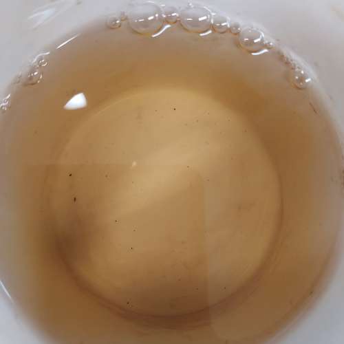 2019年老樹半天妖 50G