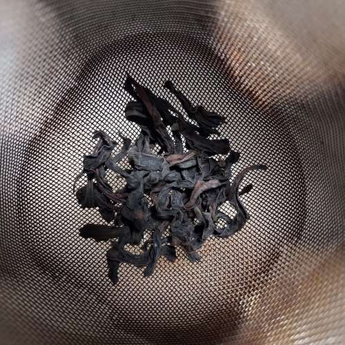 2019年老樹半天妖 50G