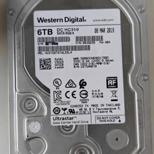 WD 企業級 6TB hard disk