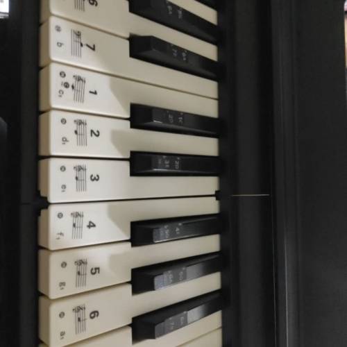 TERENCE 專業88鍵盤可擕式可折疊電子鋼琴