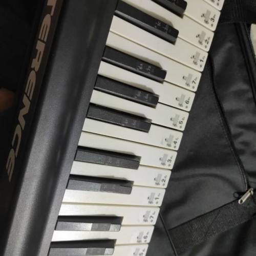 TERENCE 專業88鍵盤可擕式可折疊電子鋼琴