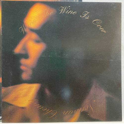 張立基 When the wine is over 黑膠碟