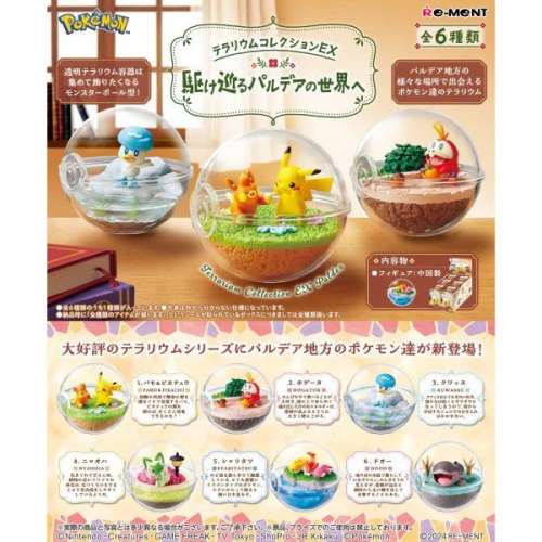 全新原盒 rement re-ment pokemon 寵物小精靈 寶可夢 精靈球 生態球 水晶球 EX 帕底...