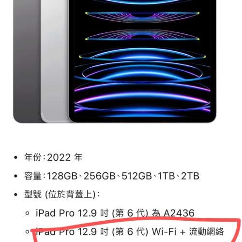 iPad Pro 12.9吋（第六代）256g太空灰