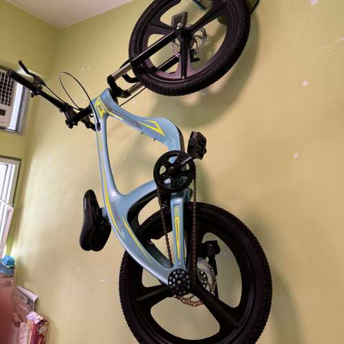 20寸兒童山地單車