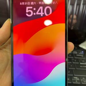 iPhone 13 pro max 1tb 港版行貨