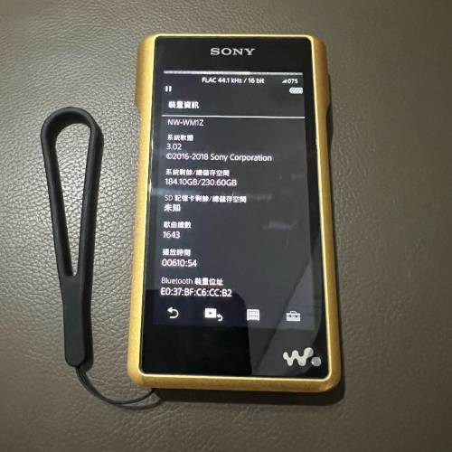 金磚1 wm1z