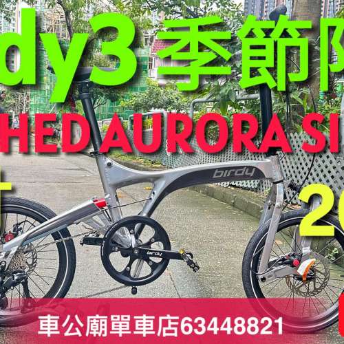 2024 季節限定色！ Birdy3 Standard 9速 極光銀（ RUSHED AURORA SILVER）