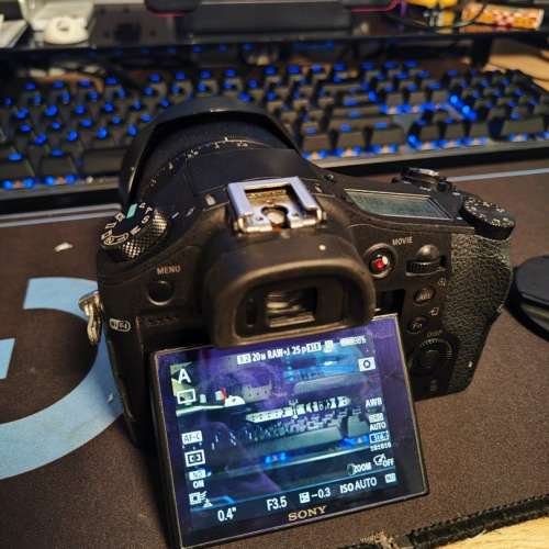 Sony RX10 Mk1 (24mm-200mm F2.8)
