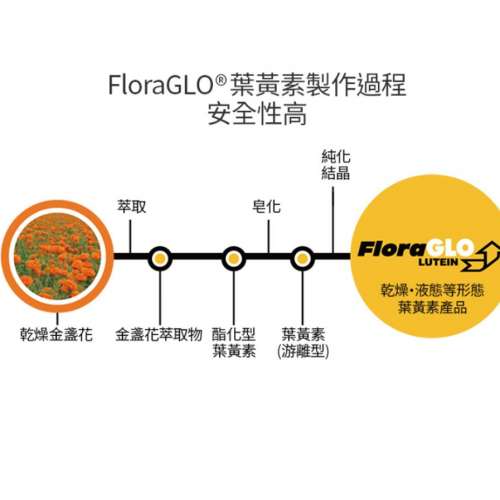 ATOMY 葉黃素30/ 護眼 90粒 日本