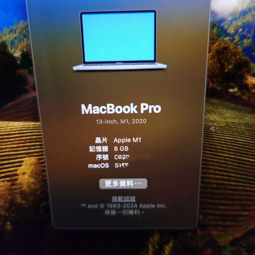 MacBook Pro M1 256G