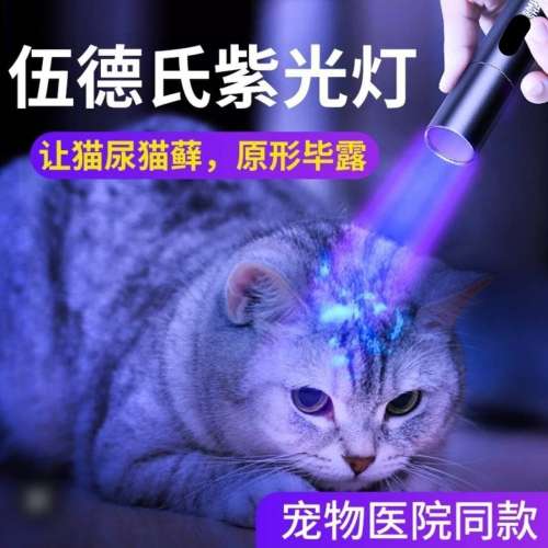 迷你版紫外光UV電筒365nm最適合驗演唱會門票. USB直接充電. Mini UV Torch. Rechar...