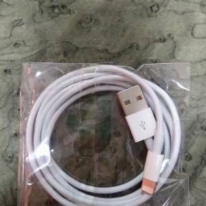 iPhone 原裝 usb cable