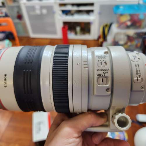 Canon EF 100-400mm F4.5-5.6 L IS USM