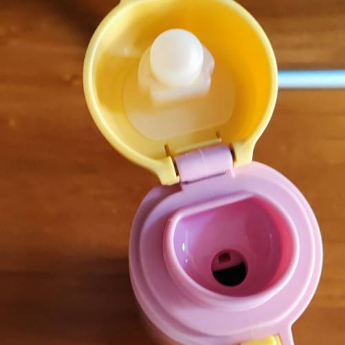 Disney  friend of Duffy  cookieAnn 500ml 保溫杯