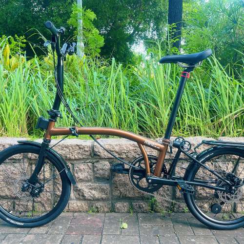 2024 最新改良款 MINT T9D-20D 9速 碟剎 20吋折叠車 送前後蛙燈叮叮