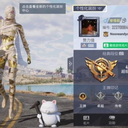 和平精英acc