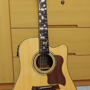 LQ FC-80缺角民謠電木結他 (With Fishman Pickup) + 結他袋