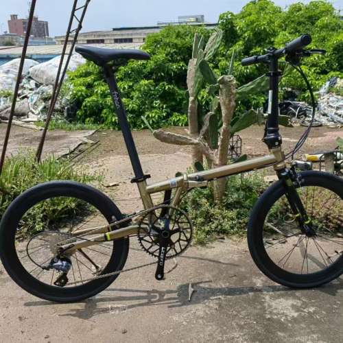 全新 C夾款 FNHON GUST FGC 2010 TIAGRA 10速 20吋 451 鉻鉬鋼架 折叠車 送水架前後...