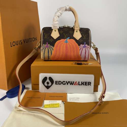 LVN1191 LV Handbag
