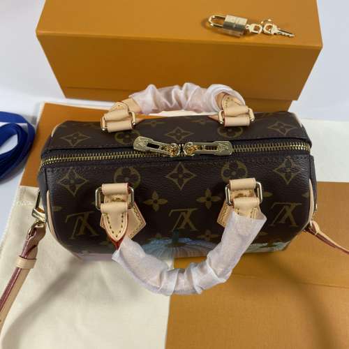 LVN1191 LV Handbag